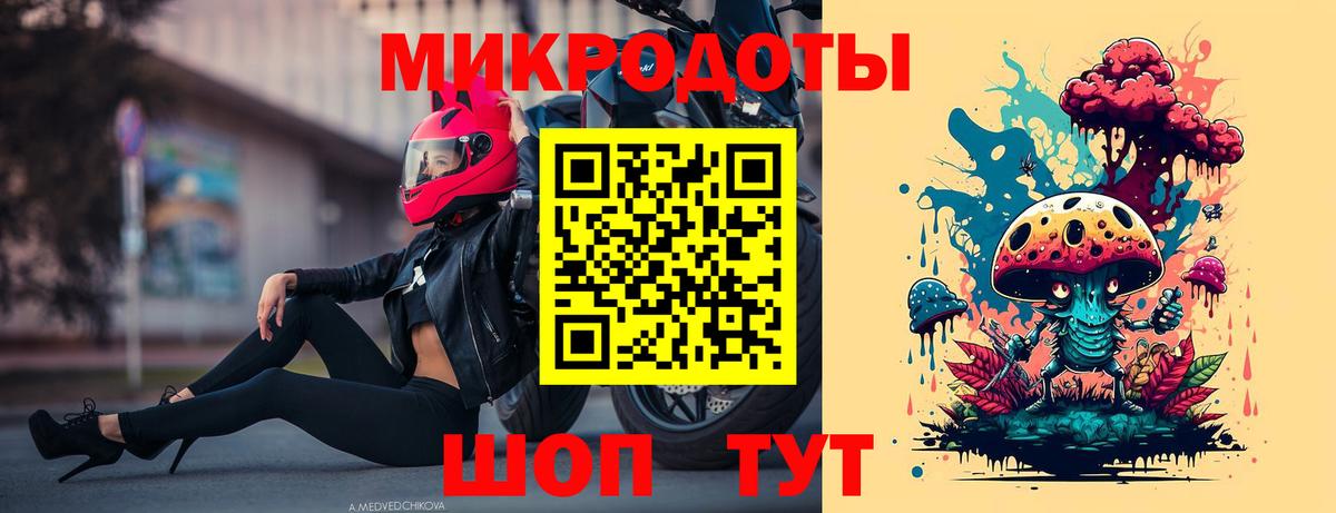 Псилоцибиновые грибы Psilocybe Анжеро-Судженск